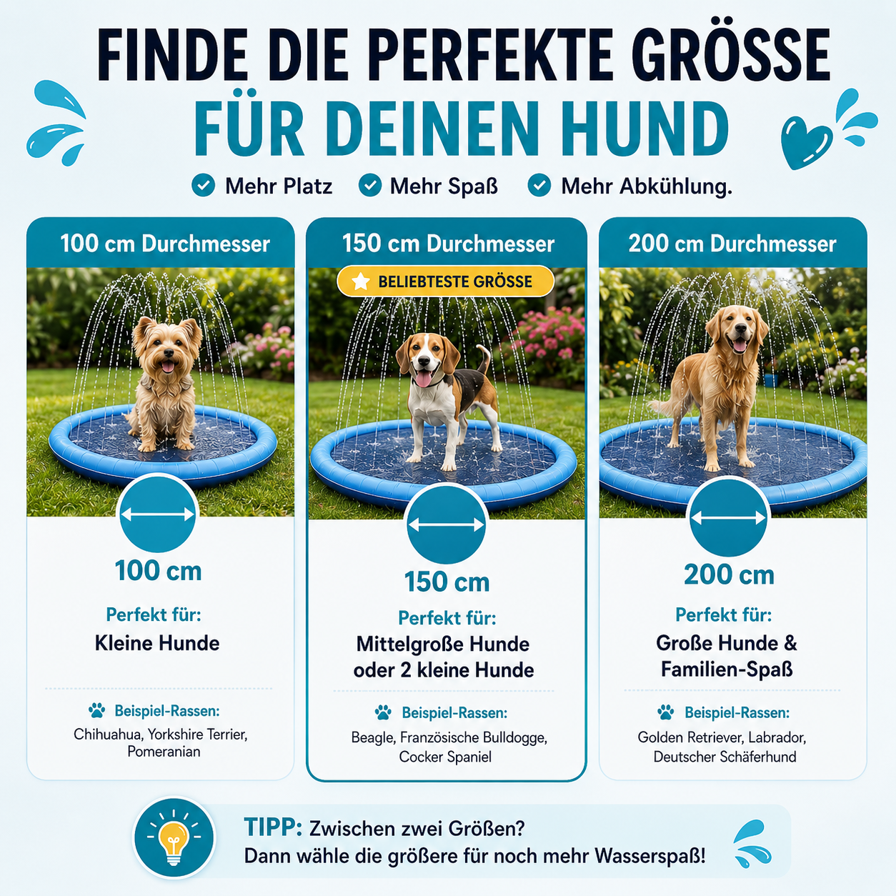 AquaSplash - Wasserspaß für Hunde