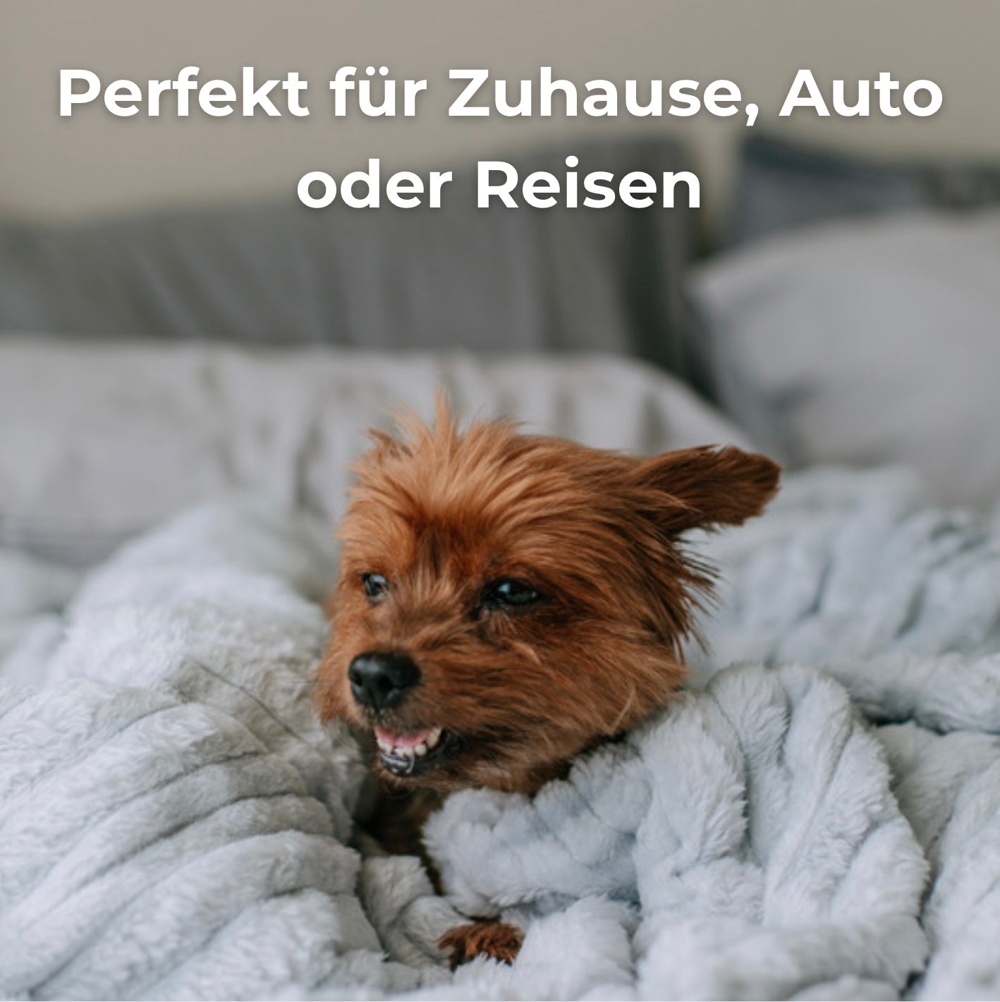 FurBuster - Die Handschuhe die Tierhaare auslöschen