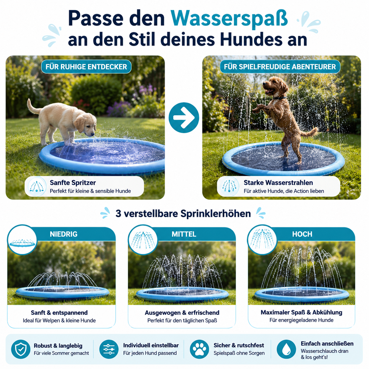 AquaSplash - Wasserspaß für Hunde