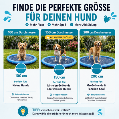 AquaSplash - Wasserspaß für Hunde