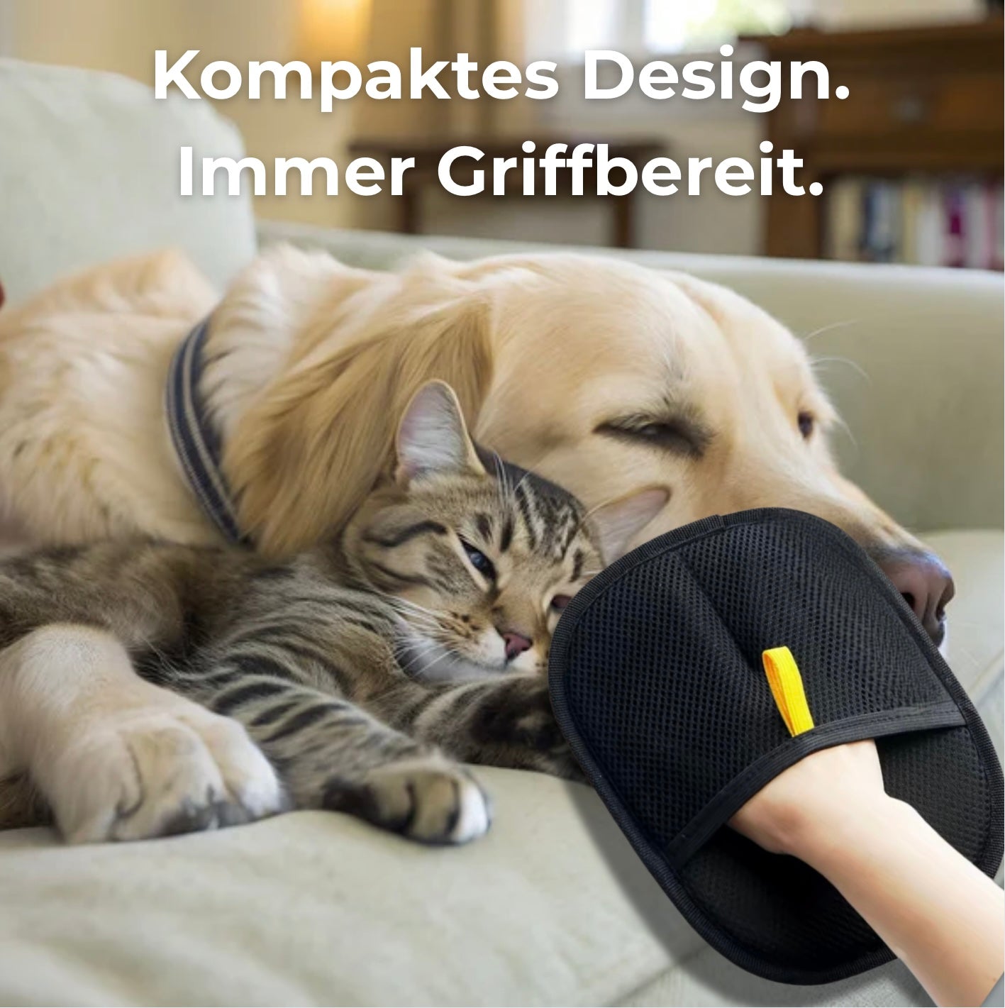 FurBuster - Die Handschuhe die Tierhaare auslöschen
