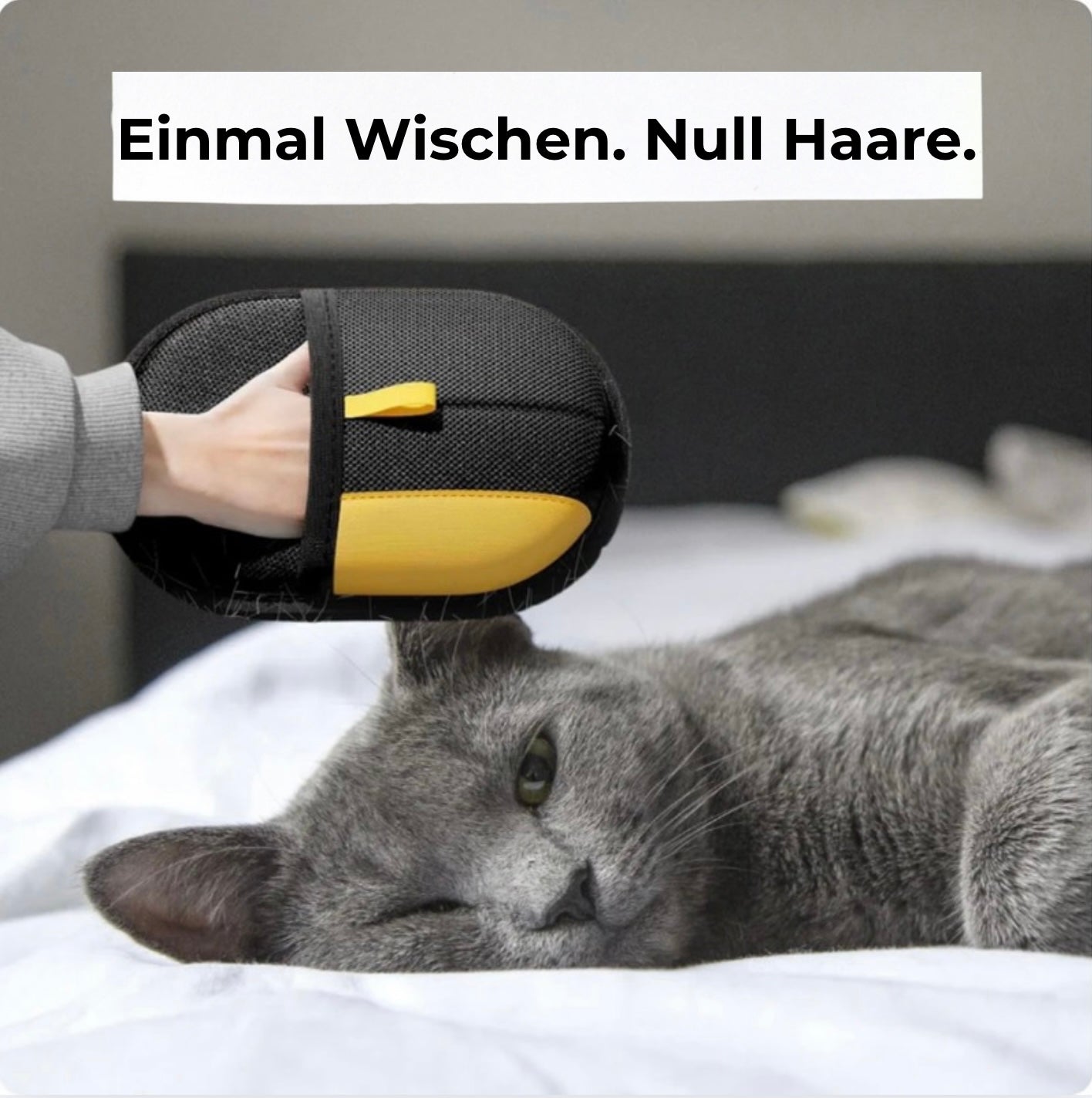 FurBuster - Die Handschuhe die Tierhaare auslöschen